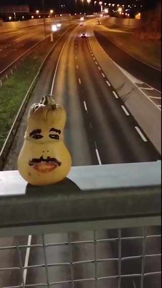 8137d8a53c31745c.mp4