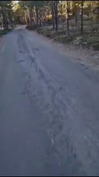 81551fde1f52045e.mp4