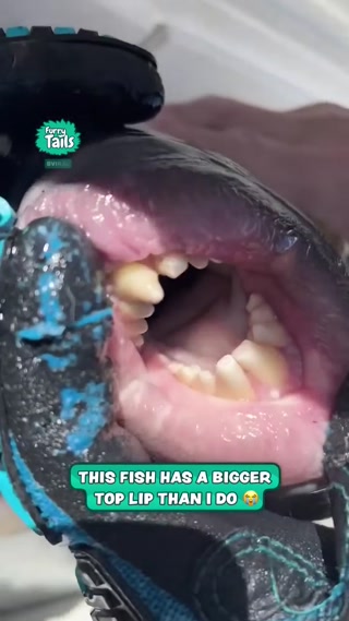 8608e2b02db12d16.mp4