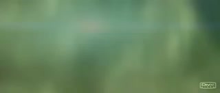 8f580539df18153c.mp4