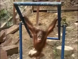 926af8dbeb038ab7.mp4