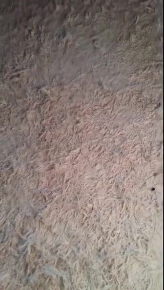 93b51e969608349a.mp4