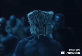 99bb13284101475a.mp4