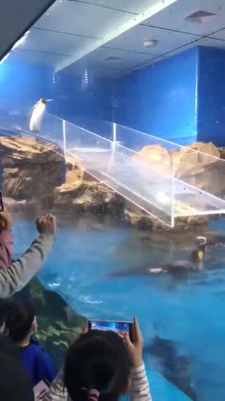 99db22030555bc47.mp4