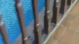 a093ba06cf8b30e7.mp4