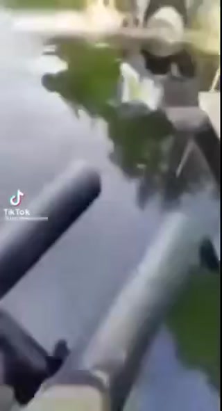 a1afb6f65d2a6f6b.mp4