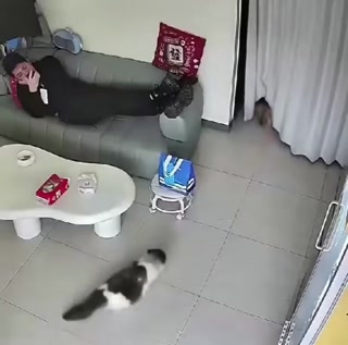 a22a1808b492aef6.mp4