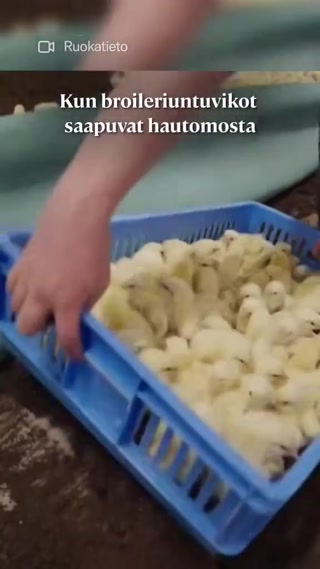 a2d37cf451718911.mp4