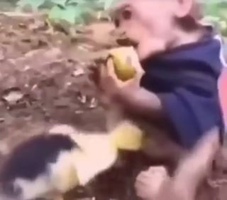 a3df29fd4b74d3c4.mp4