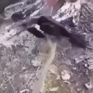 a6b79a4d2b47c672.mp4