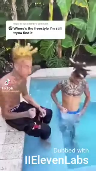 a77276c6d809cb4d.mp4