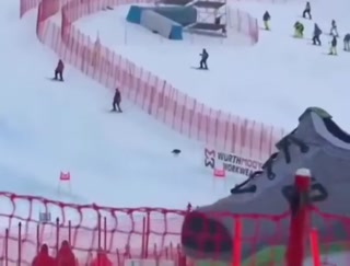 a7bcd73f96c66f95.mp4