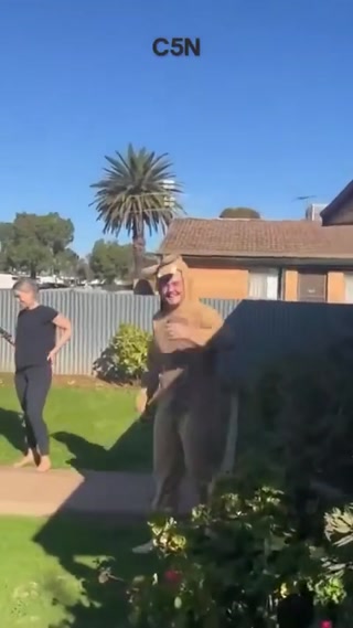 a9e8393876268fe9.mp4