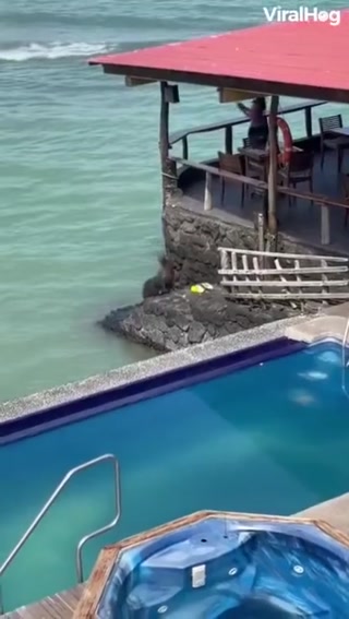 aed29a02a5d02de4.mp4