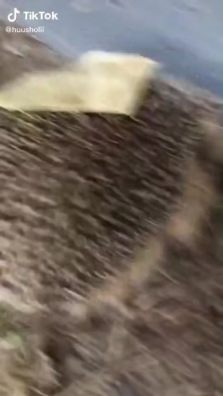 af5e6747477973a2.mp4