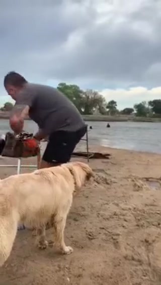 b1f2e0c43b0dacb4.mp4