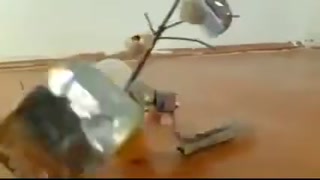 b47de2ffcc577fe2.mp4
