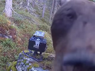 ba968da46d0a1963.mp4