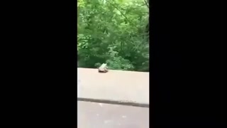 c3a4d1eb38d70aa4.mp4