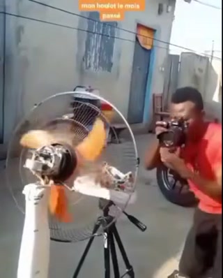 c42f0d526cdca482.mp4