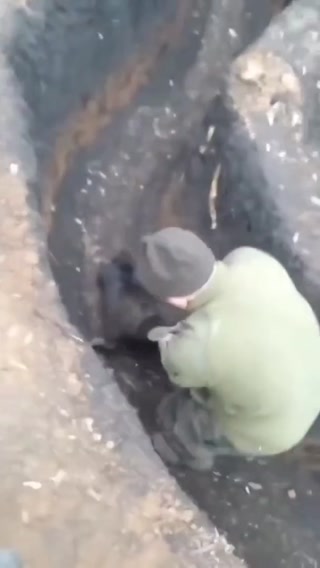 c430708aa0272f99.mp4