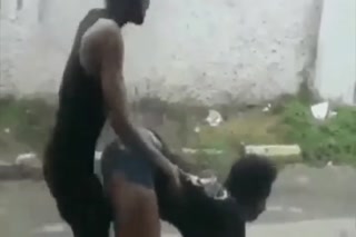 c449992f5d5c6ce5.mp4