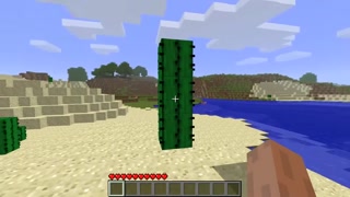 c4648f3e0229392b.mp4