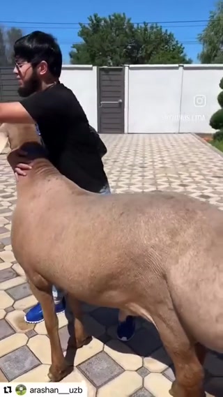 c99428585f112cd6.mp4