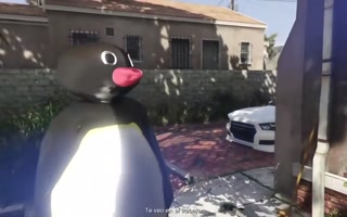 ca5eca6d0fcc6659.mp4