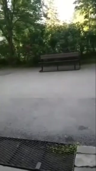 d1fb5fe1c679fadc.mp4