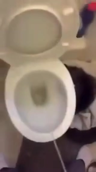 d3388a93489ca987.mp4