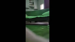 d36f4d954026f71f.mp4