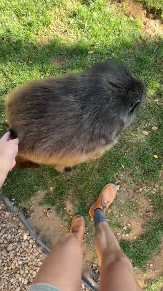 d6a5b7b8a8696273.mp4