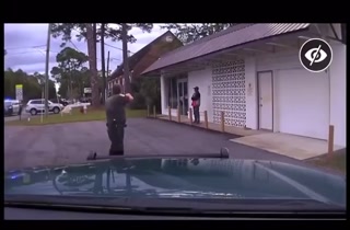 d70c09963fdfe57a.mp4