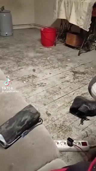 d8a187d1ee3a42b0.mp4