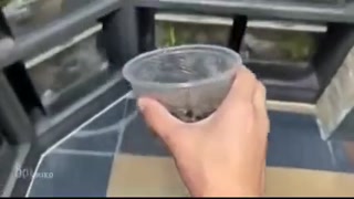 d8a64eb297b6218f.mp4