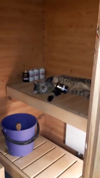 db497850102db4ad.mp4