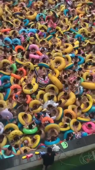 de73739e83818db3.mp4