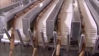 e0d2df2cdb23f54c.mp4