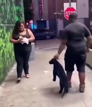 e2a43ace49fa9818.mp4