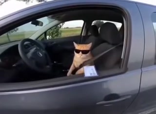 e35b4e7c6e27ae75.mp4