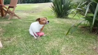 e45bc8301f0530b7.mp4