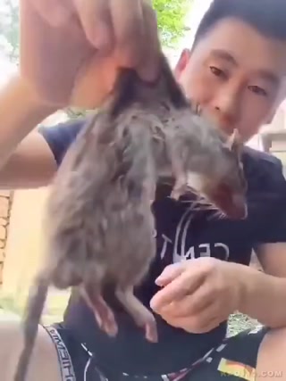 e4f933863ebda2da.mp4