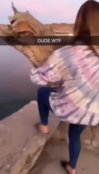 e634c9d446ab7dfc.mp4