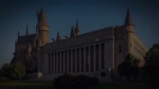 ea7f0c27102f1eb3.mp4