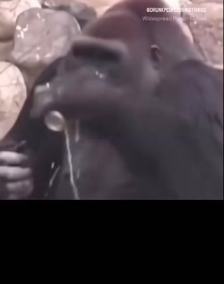 f032c03fa7810880.mp4