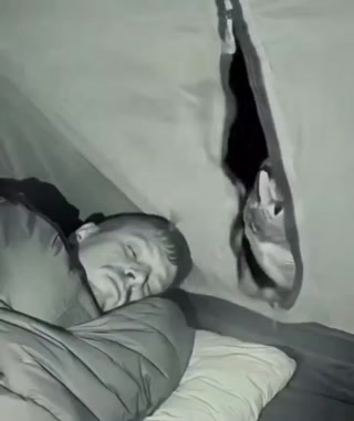 f306b01df1c8257a.mp4