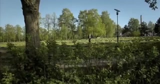 f7031c86906b9f68.mp4