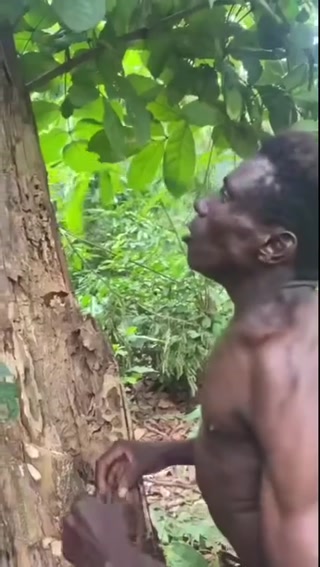 f73bf08f7c0422c1.mp4