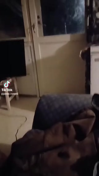 fe160e324da8f37c.mp4